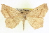  ( - CCDB-20818-F08)  @14 [ ] CreativeCommons - Attribution (2013) CBG Photography Group Centre for Biodiversity Genomics