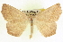  ( - CCDB-20818-F09)  @15 [ ] CreativeCommons - Attribution (2013) CBG Photography Group Centre for Biodiversity Genomics