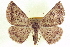  ( - CCDB-20818-F10)  @15 [ ] CreativeCommons - Attribution (2013) CBG Photography Group Centre for Biodiversity Genomics