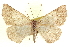  ( - CCDB-20818-G03)  @14 [ ] CreativeCommons - Attribution (2013) CBG Photography Group Centre for Biodiversity Genomics