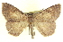  ( - CCDB-20818-H04)  @14 [ ] CreativeCommons - Attribution (2013) CBG Photography Group Centre for Biodiversity Genomics