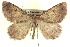  ( - CCDB-20818-H05)  @14 [ ] CreativeCommons - Attribution (2013) CBG Photography Group Centre for Biodiversity Genomics