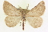  ( - CCDB-20818-H07)  @14 [ ] CreativeCommons - Attribution (2013) CBG Photography Group Centre for Biodiversity Genomics