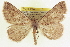  ( - CCDB-20818-H08)  @14 [ ] CreativeCommons - Attribution (2013) CBG Photography Group Centre for Biodiversity Genomics