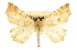  ( - CCDB-20819-A02)  @11 [ ] CreativeCommons - Attribution (2013) CBG Photography Group Centre for Biodiversity Genomics
