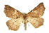  ( - CCDB-20819-A05)  @13 [ ] CreativeCommons - Attribution (2013) CBG Photography Group Centre for Biodiversity Genomics