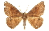  ( - CCDB-20819-C05)  @11 [ ] CreativeCommons - Attribution (2013) CBG Photography Group Centre for Biodiversity Genomics
