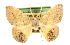  ( - CCDB-20819-C10)  @11 [ ] CreativeCommons - Attribution (2013) CBG Photography Group Centre for Biodiversity Genomics