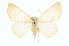  ( - CCDB-20819-G04)  @14 [ ] CreativeCommons - Attribution (2013) CBG Photography Group Centre for Biodiversity Genomics