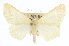  ( - CCDB-20819-G05)  @14 [ ] CreativeCommons - Attribution (2013) CBG Photography Group Centre for Biodiversity Genomics