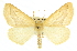  ( - CCDB-20819-G09)  @15 [ ] CreativeCommons - Attribution (2013) CBG Photography Group Centre for Biodiversity Genomics