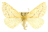  ( - CCDB-20819-G10)  @15 [ ] CreativeCommons - Attribution (2013) CBG Photography Group Centre for Biodiversity Genomics