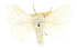  ( - CCDB-20822-B06)  @11 [ ] CreativeCommons - Attribution (2013) CBG Photography Group Centre for Biodiversity Genomics