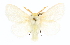  ( - CCDB-20822-B07)  @11 [ ] CreativeCommons - Attribution (2013) CBG Photography Group Centre for Biodiversity Genomics