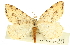  ( - CCDB-20824-B02)  @14 [ ] CreativeCommons - Attribution (2013) CBG Photography Group Centre for Biodiversity Genomics