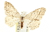  ( - CCDB-20824-E09)  @13 [ ] CreativeCommons - Attribution (2013) CBG Photography Group Centre for Biodiversity Genomics