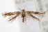  ( - CCDB-20825-D09)  @12 [ ] CreativeCommons - Attribution (2013) CBG Photography Group Centre for Biodiversity Genomics