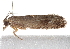  ( - CCDB-20826-D08)  @12 [ ] CreativeCommons - Attribution (2013) CBG Photography Group Centre for Biodiversity Genomics