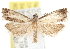  ( - CCDB-20826-D11)  @14 [ ] CreativeCommons - Attribution (2013) CBG Photography Group Centre for Biodiversity Genomics