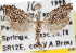  ( - CCDB-20826-E08)  @11 [ ] CreativeCommons - Attribution (2013) CBG Photography Group Centre for Biodiversity Genomics