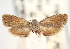  ( - CCDB-20826-E10)  @11 [ ] CreativeCommons - Attribution (2013) CBG Photography Group Centre for Biodiversity Genomics
