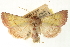  ( - CCDB-20827-A10)  @14 [ ] CreativeCommons - Attribution (2013) CBG Photography Group Centre for Biodiversity Genomics