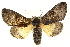  ( - CCDB-20827-B12)  @15 [ ] CreativeCommons - Attribution (2013) CBG Photography Group Centre for Biodiversity Genomics