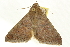  ( - CCDB-20827-C05)  @13 [ ] CreativeCommons - Attribution (2013) CBG Photography Group Centre for Biodiversity Genomics