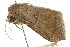  ( - CCDB-20827-C07)  @12 [ ] CreativeCommons - Attribution (2013) CBG Photography Group Centre for Biodiversity Genomics