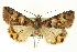  ( - CCDB-20827-C10)  @13 [ ] CreativeCommons - Attribution (2013) CBG Photography Group Centre for Biodiversity Genomics