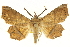  ( - CCDB-20827-E07)  @15 [ ] CreativeCommons - Attribution (2013) CBG Photography Group Centre for Biodiversity Genomics