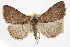  ( - CCDB-20827-F04)  @14 [ ] CreativeCommons - Attribution (2013) CBG Photography Group Centre for Biodiversity Genomics