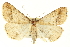  ( - CCDB-20827-G06)  @14 [ ] CreativeCommons - Attribution (2013) CBG Photography Group Centre for Biodiversity Genomics
