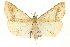 ( - CCDB-20827-G08)  @14 [ ] CreativeCommons - Attribution (2013) CBG Photography Group Centre for Biodiversity Genomics