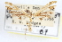  ( - CCDB-20273-C03)  @11 [ ] CreativeCommons - Attribution (2013) CBG Photography Group Centre for Biodiversity Genomics