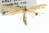  ( - CCDB-20273-F07)  @11 [ ] CreativeCommons - Attribution (2013) CBG Photography Group Centre for Biodiversity Genomics