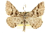  ( - CCDB-20800-B03)  @14 [ ] CreativeCommons - Attribution (2012) CBG Photography Group Centre for Biodiversity Genomics