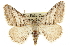  ( - CCDB-20800-B11)  @14 [ ] CreativeCommons - Attribution (2012) CBG Photography Group Centre for Biodiversity Genomics