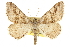  ( - CCDB-20800-B12)  @11 [ ] CreativeCommons - Attribution (2012) CBG Photography Group Centre for Biodiversity Genomics