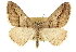  ( - CCDB-20800-C10)  @11 [ ] CreativeCommons - Attribution (2012) CBG Photography Group Centre for Biodiversity Genomics