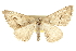  ( - CCDB-20800-C12)  @11 [ ] CreativeCommons - Attribution (2012) CBG Photography Group Centre for Biodiversity Genomics