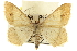  ( - CCDB-20284-B09)  @14 [ ] CreativeCommons - Attribution (2013) CBG Photography Group Centre for Biodiversity Genomics