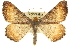 ( - CCDB-20284-E03)  @14 [ ] CreativeCommons - Attribution (2013) CBG Photography Group Centre for Biodiversity Genomics