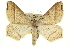  ( - CCDB-20284-F05)  @15 [ ] CreativeCommons - Attribution (2013) CBG Photography Group Centre for Biodiversity Genomics