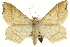  ( - CCDB-20284-F06)  @15 [ ] CreativeCommons - Attribution (2013) CBG Photography Group Centre for Biodiversity Genomics
