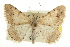  ( - CCDB-20284-F08)  @11 [ ] CreativeCommons - Attribution (2013) CBG Photography Group Centre for Biodiversity Genomics