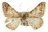  ( - CCDB-20284-G04)  @11 [ ] CreativeCommons - Attribution (2013) CBG Photography Group Centre for Biodiversity Genomics