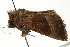  ( - CCDB-20286-B11)  @12 [ ] CreativeCommons - Attribution (2013) CBG Photography Group Centre for Biodiversity Genomics