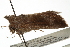  ( - CCDB-20286-C01)  @12 [ ] CreativeCommons - Attribution (2013) CBG Photography Group Centre for Biodiversity Genomics