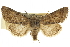  ( - CCDB-20286-E02)  @11 [ ] CreativeCommons - Attribution (2013) CBG Photography Group Centre for Biodiversity Genomics